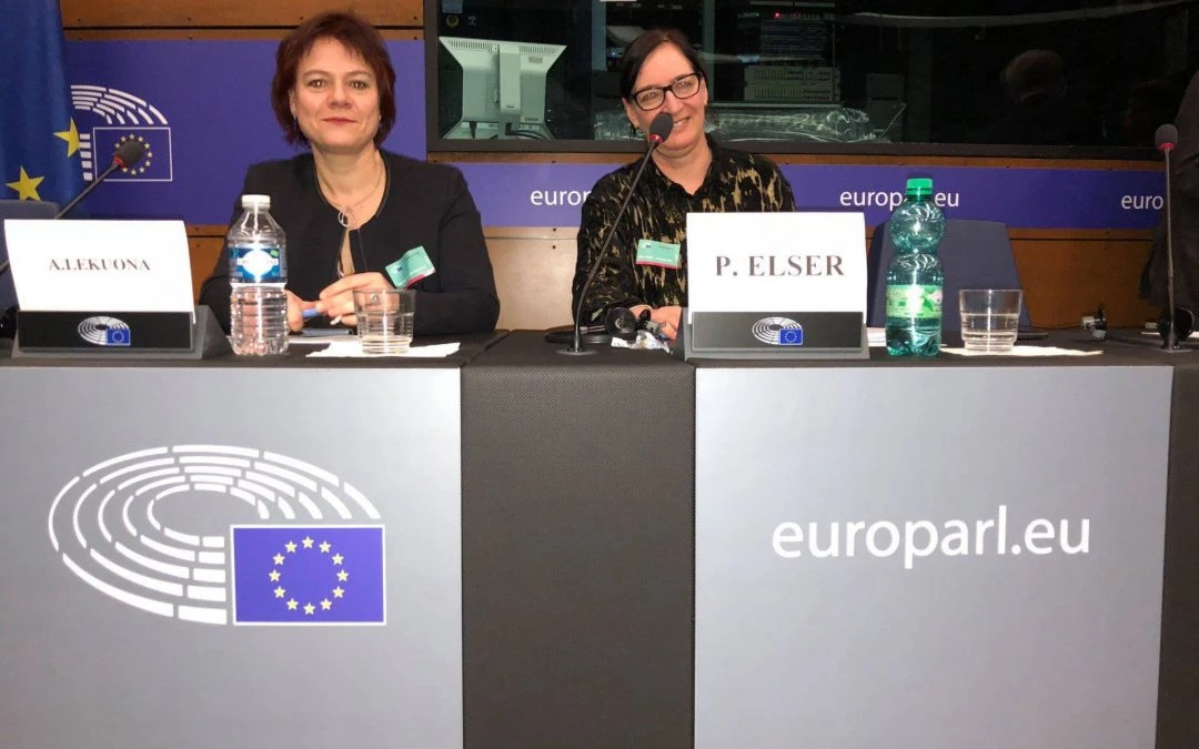 COMBI proiektuaren aurkezpena @ Tradiziozko Minorien, Nazio Komunitateen eta Hizkuntzen Europako Batzordean